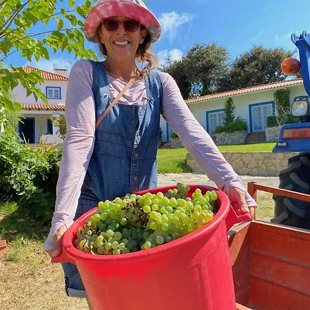 ベッド・アンド・ブレックファスト Quinta Mourada São Bartolomeu