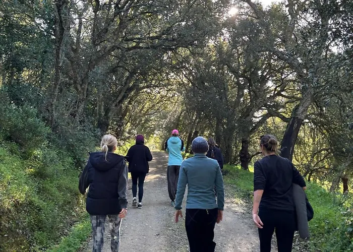 Quinta Mourada 住宿加早餐酒店