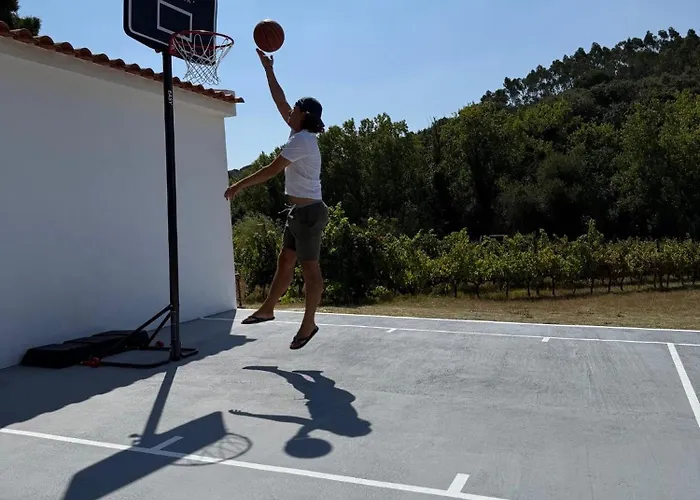 Quinta Mourada 住宿加早餐酒店 São Bartolomeu