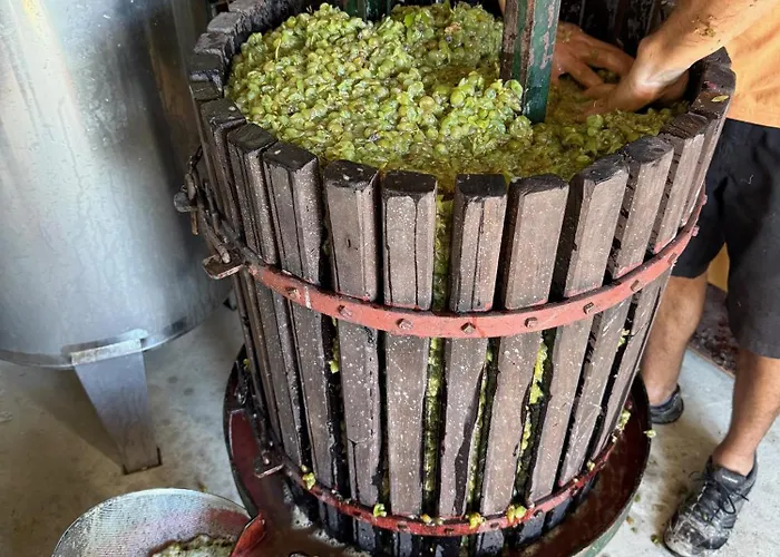 住宿加早餐酒店 Quinta Mourada